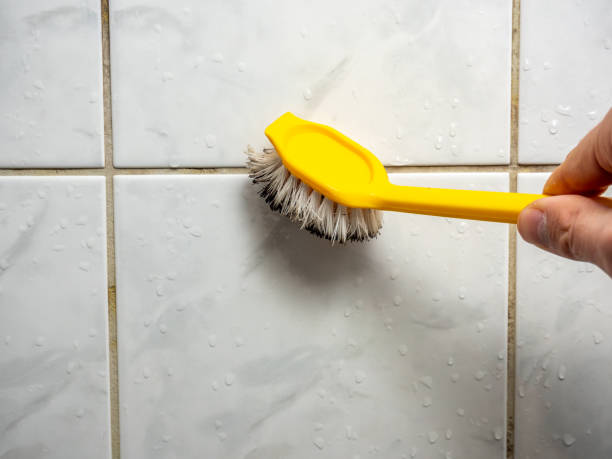 Best Certified Mold Removal  in Bradley Beach, NJ