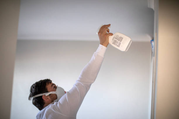 Best Mold Cleaning Services  in Bradley Beach, NJ