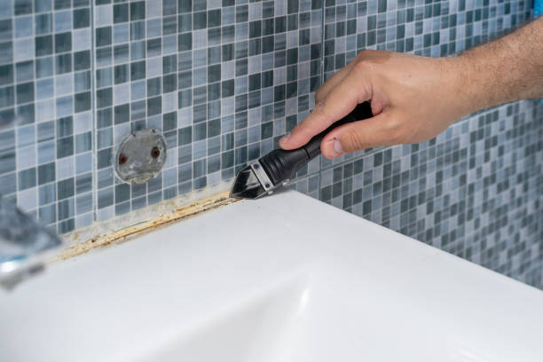 Best Residential Mold Removal  in Bradley Beach, NJ
