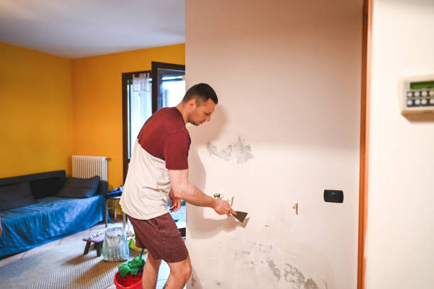Best Mold Testing  in Bradley Beach, NJ